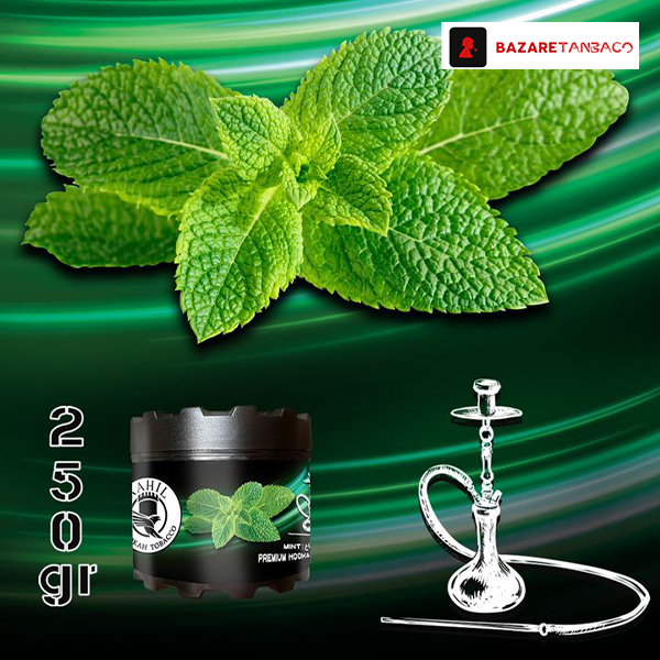 تنباکو نعنا راحیل